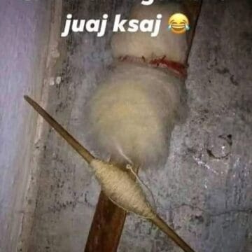 Si i thoni kësaj në vendin ku jetoni?