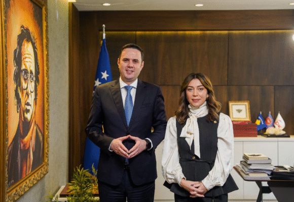 Vajza e Cimës , Adelina i bashkohet Lidhjes Demokratike të Kosovës